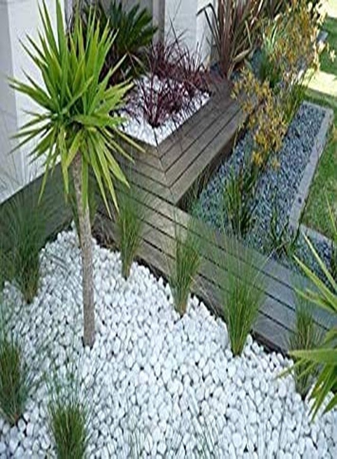 Bum Bum Bhole Polished White Pebbles Premium Stone Home Decorative Marbles - 1 Kg - Image 4